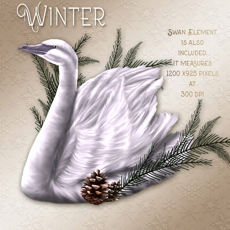 Winter by N/A