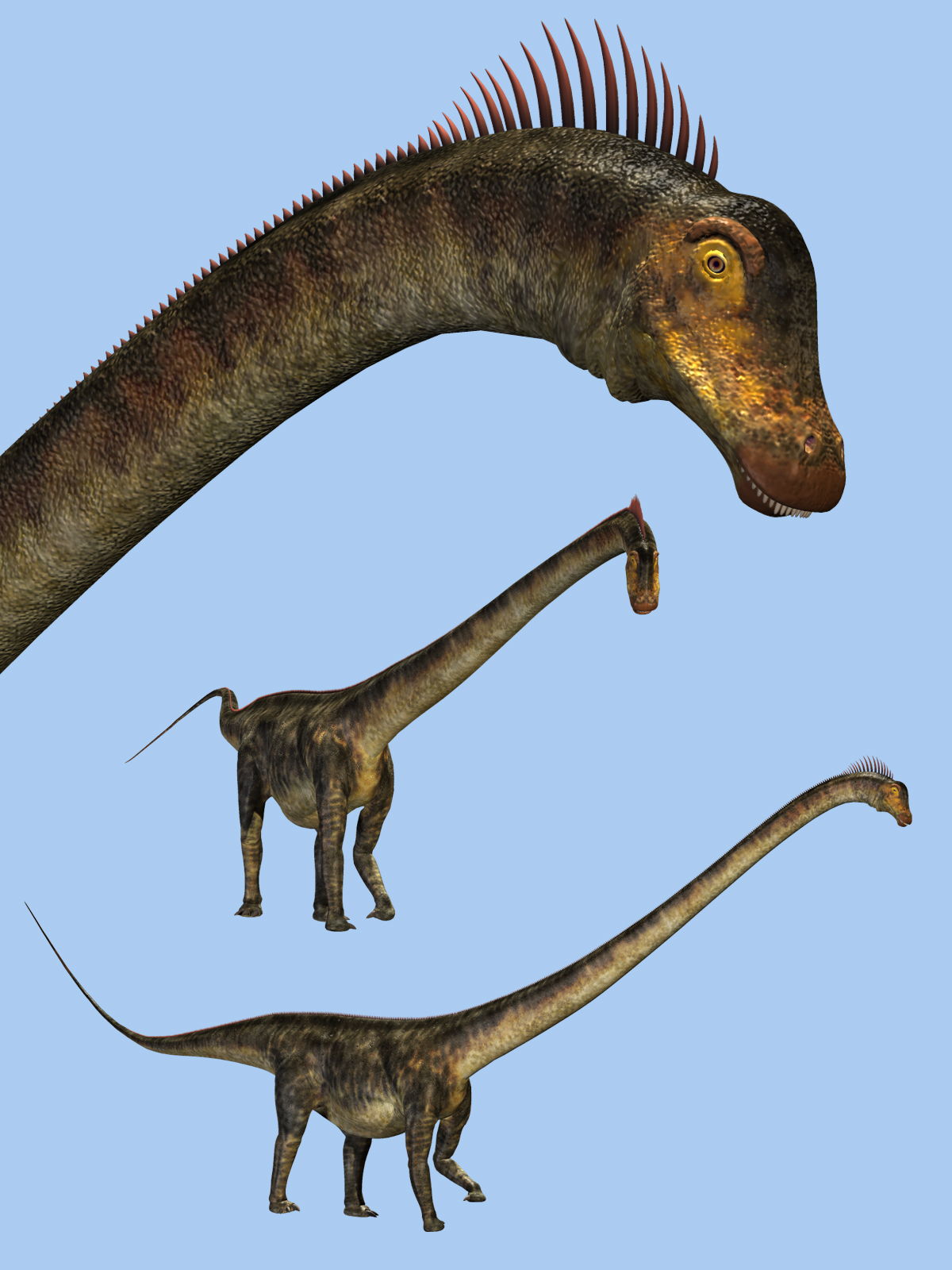 Barosaurus DR by N/A