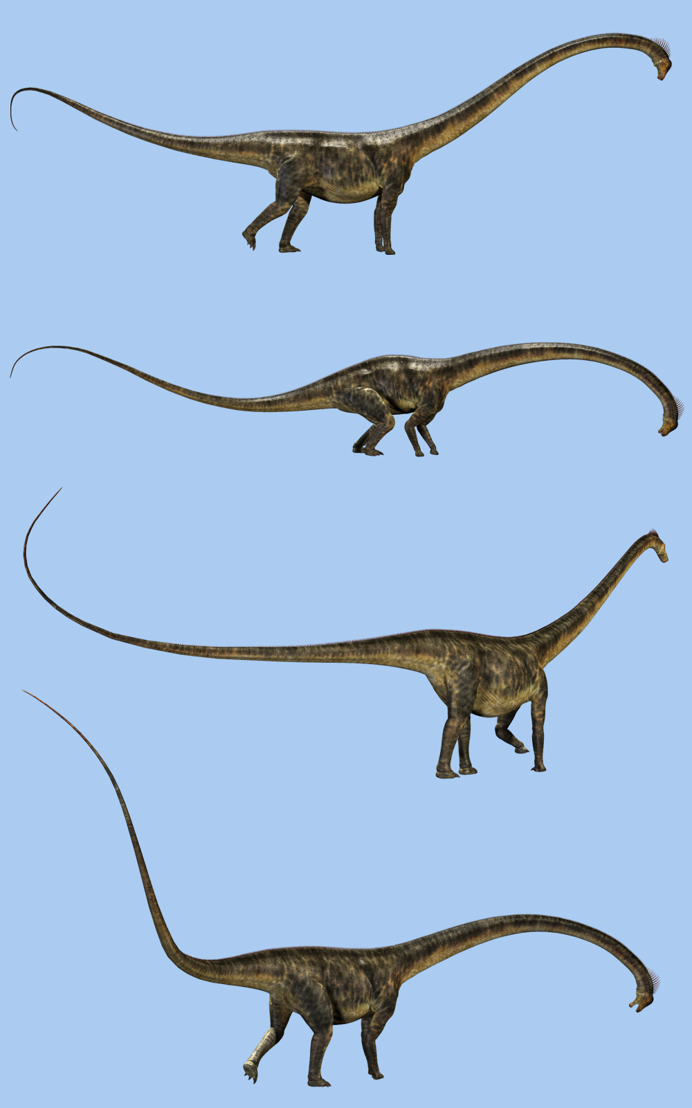 Barosaurus DR by N/A