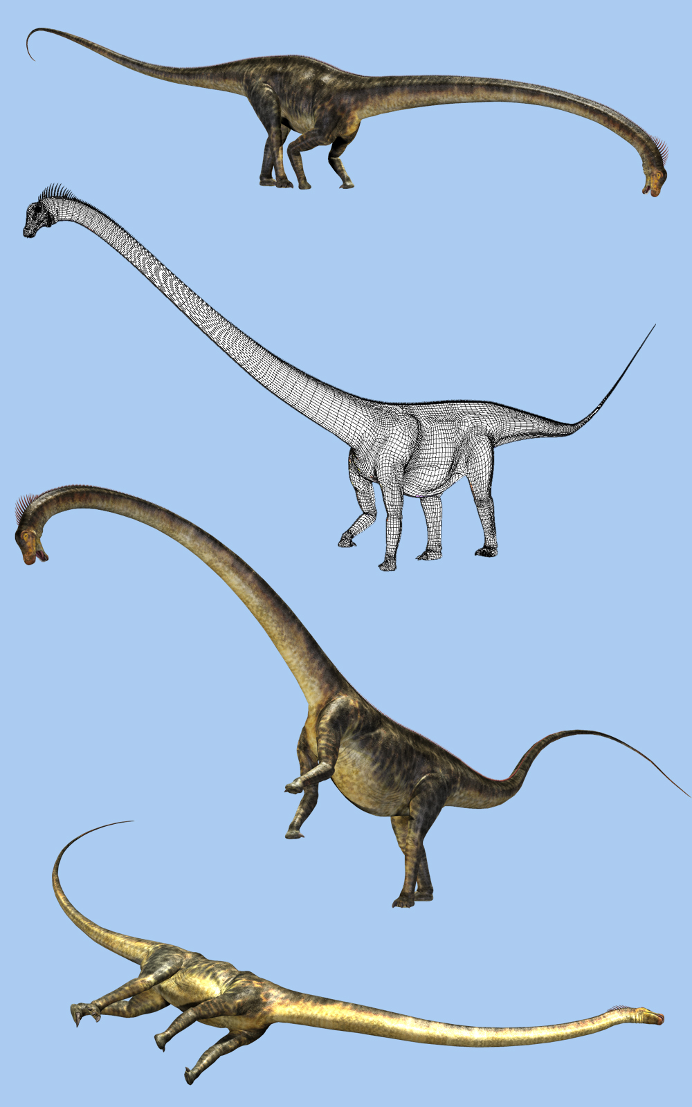 Barosaurus DR by N/A