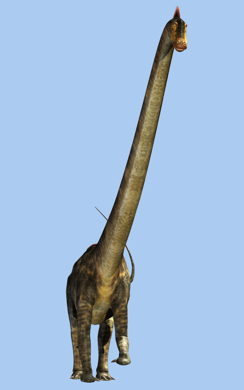 Barosaurus DR by N/A
