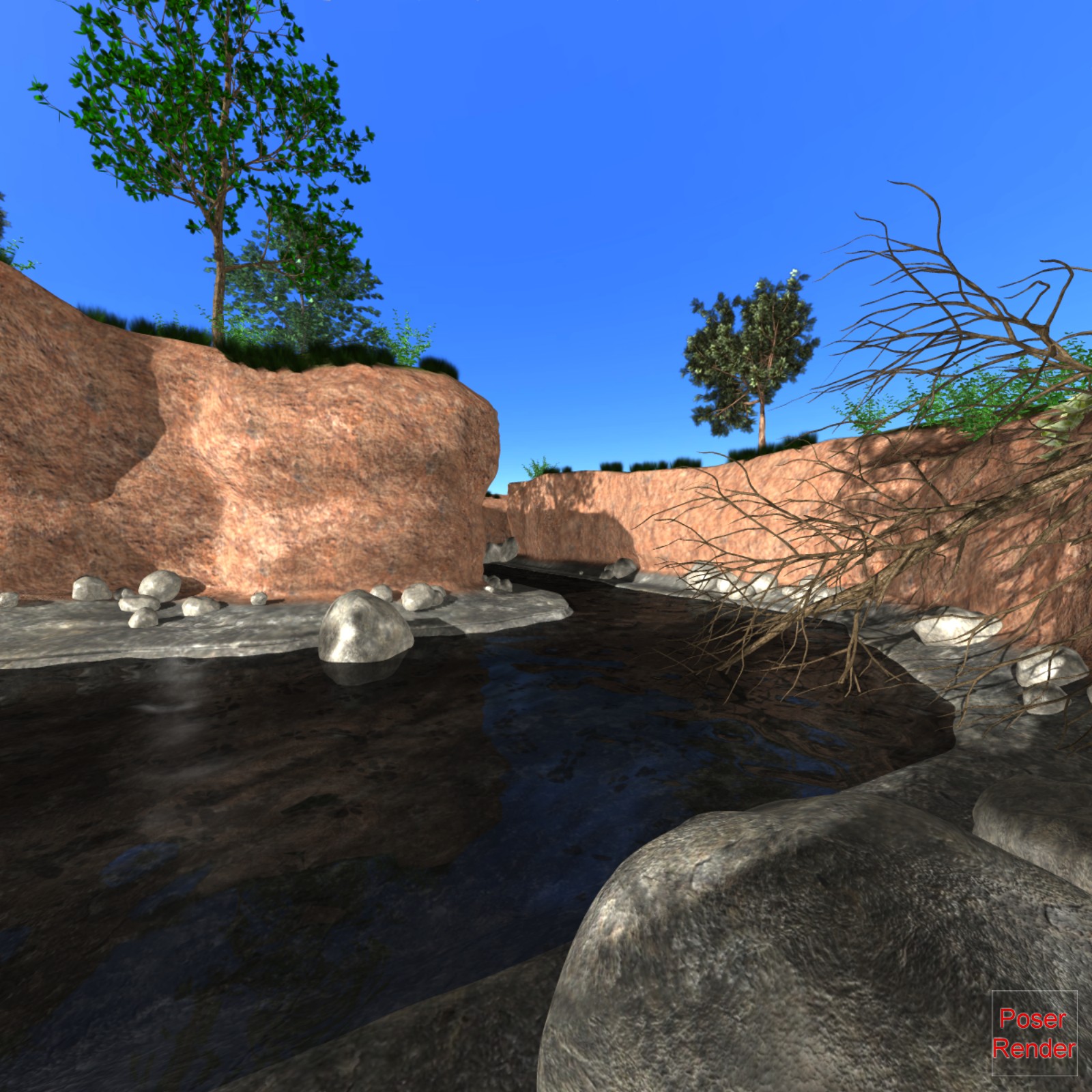 The creek Poser by N/A