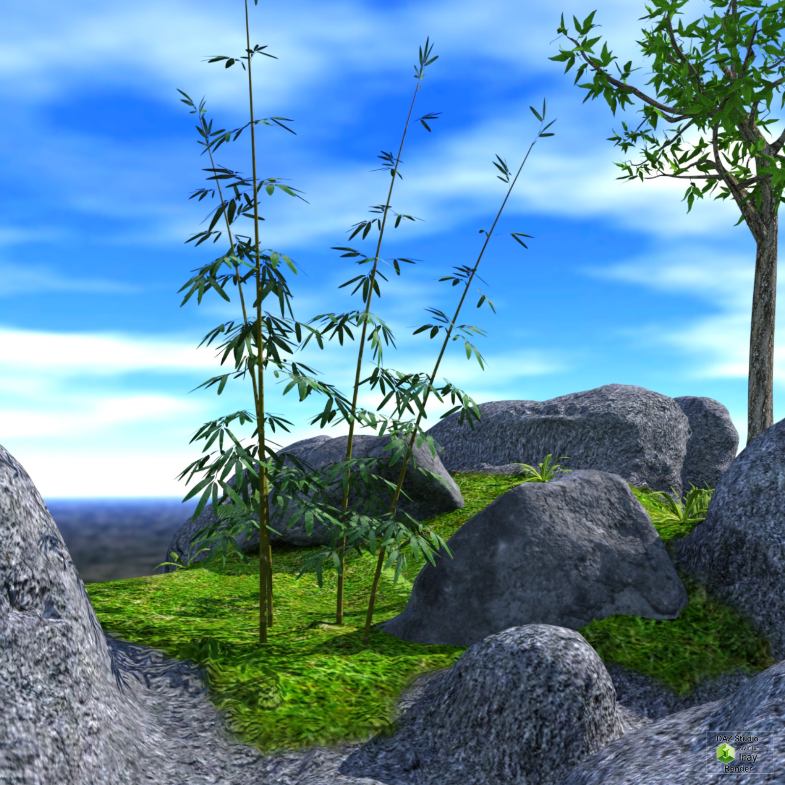 Rocky Path DAZ by N/A
