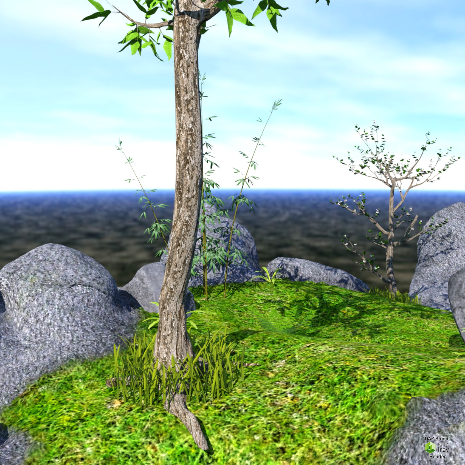 Rocky Path DAZ by N/A