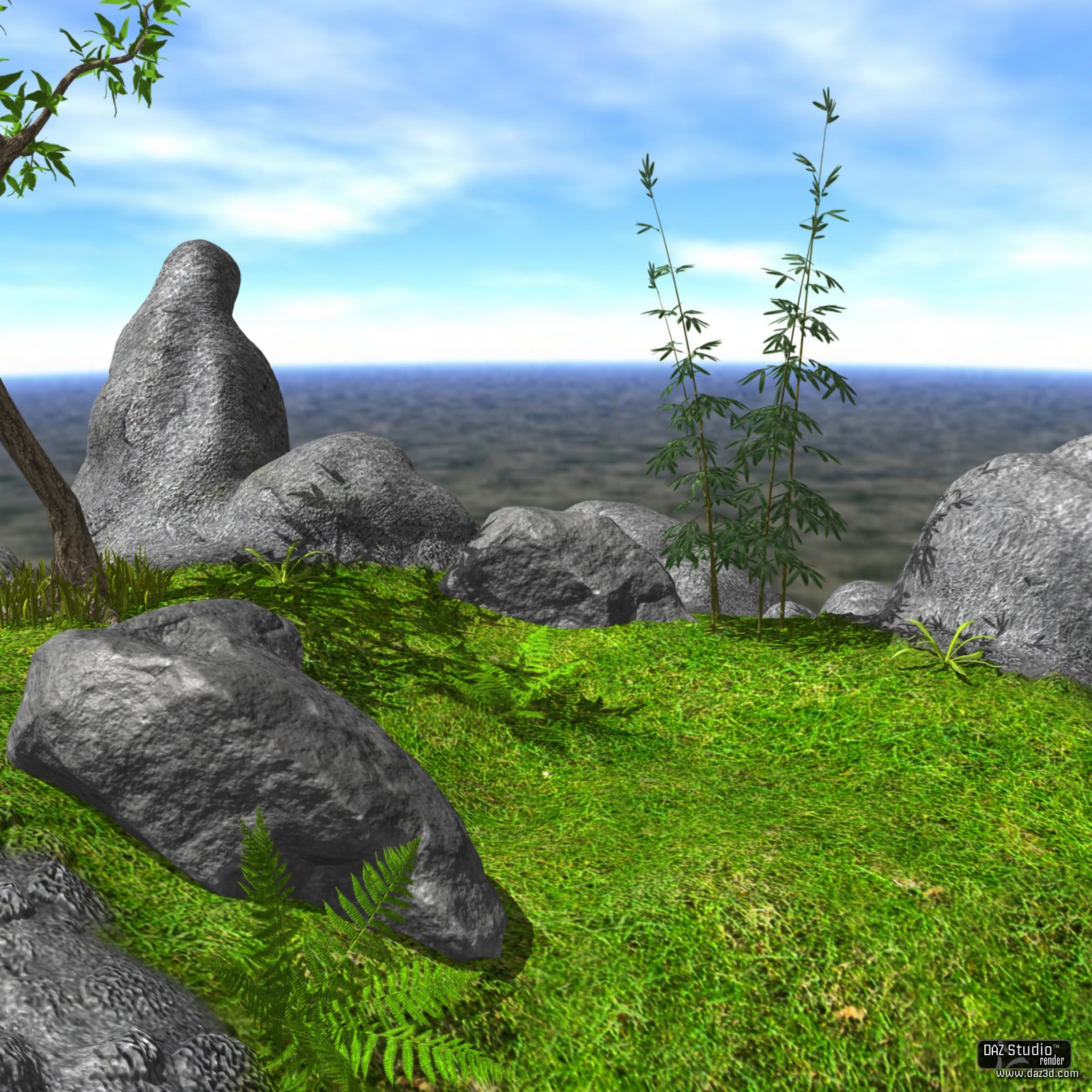 Rocky Path DAZ by N/A