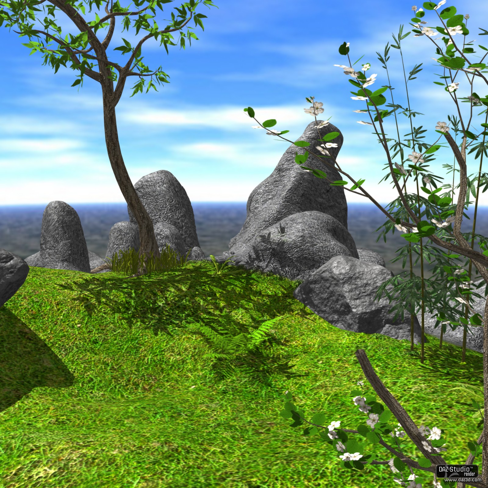 Rocky Path DAZ by N/A