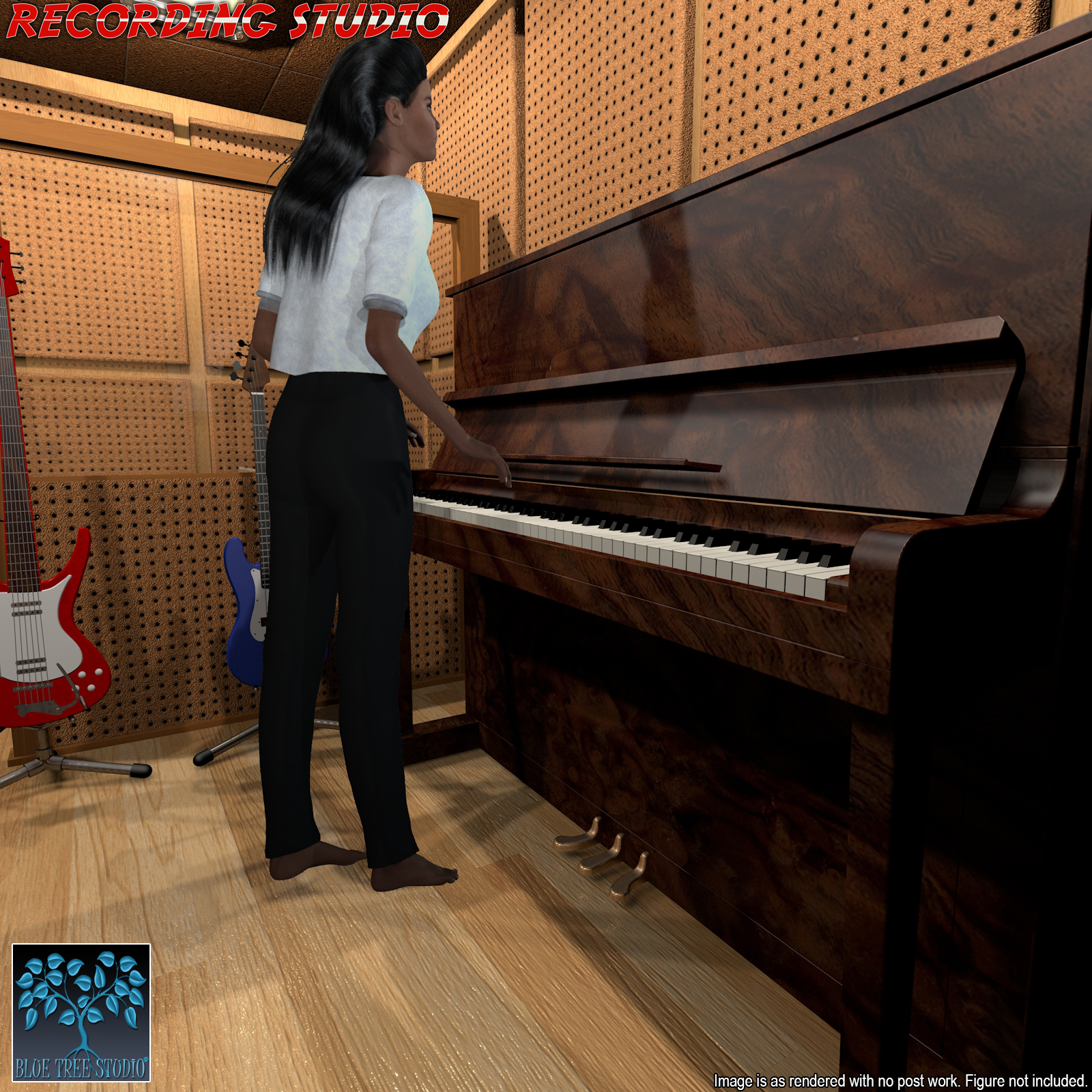 Recording Studio for Poser by N/A