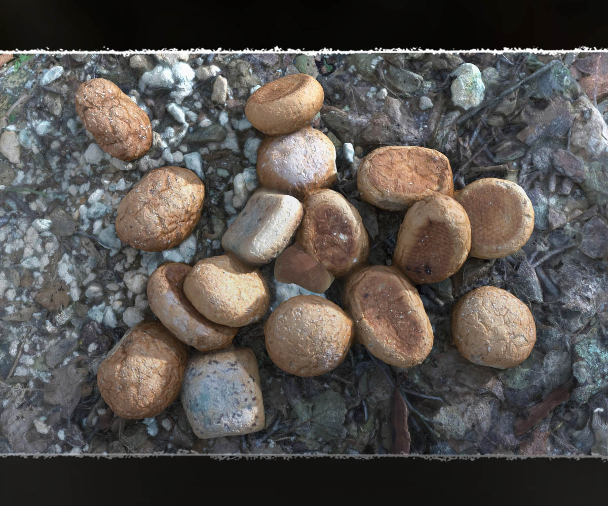 3D MiniScenery: Discarded Bread by N/A