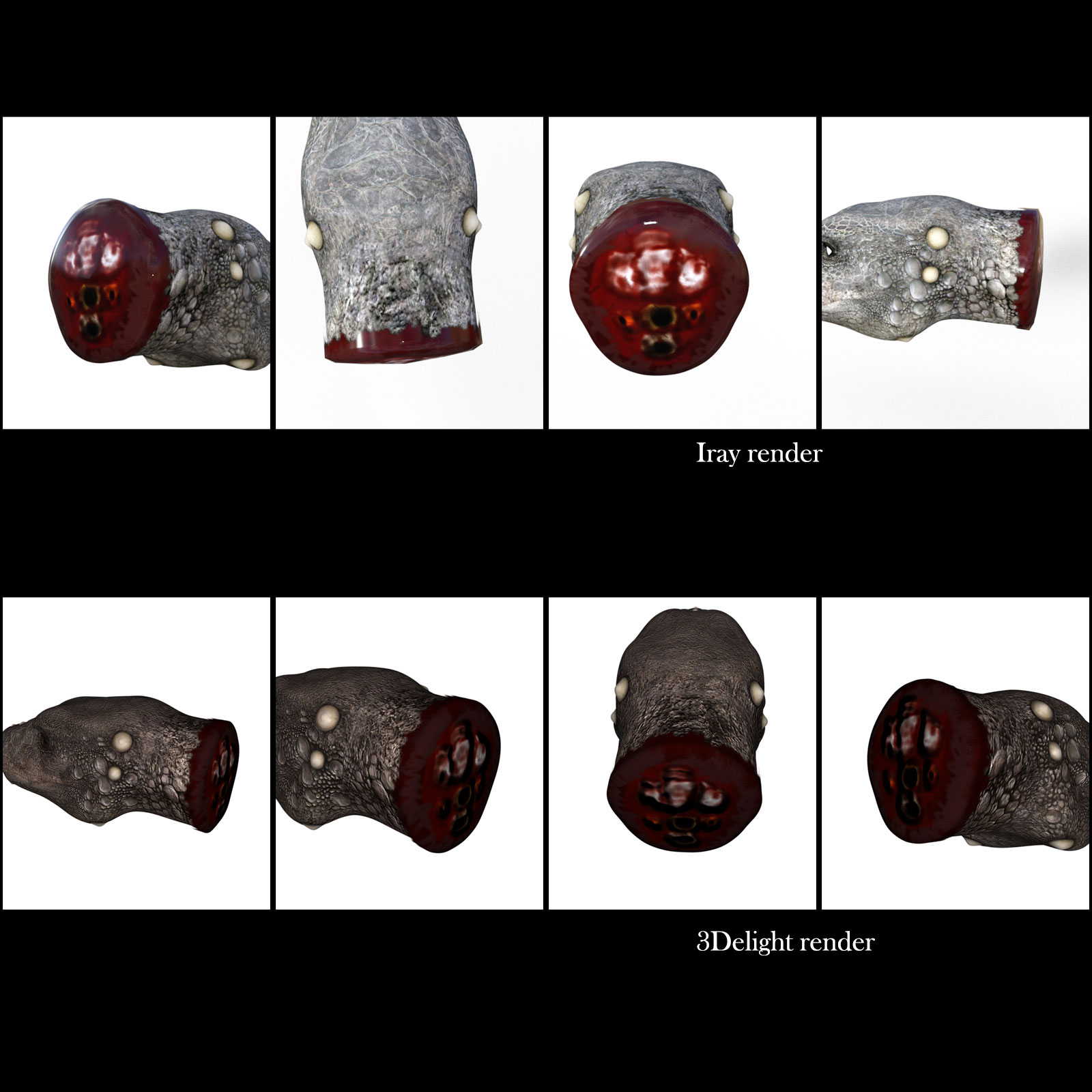 Chopped Head for DAZ Dragon 3 by N/A