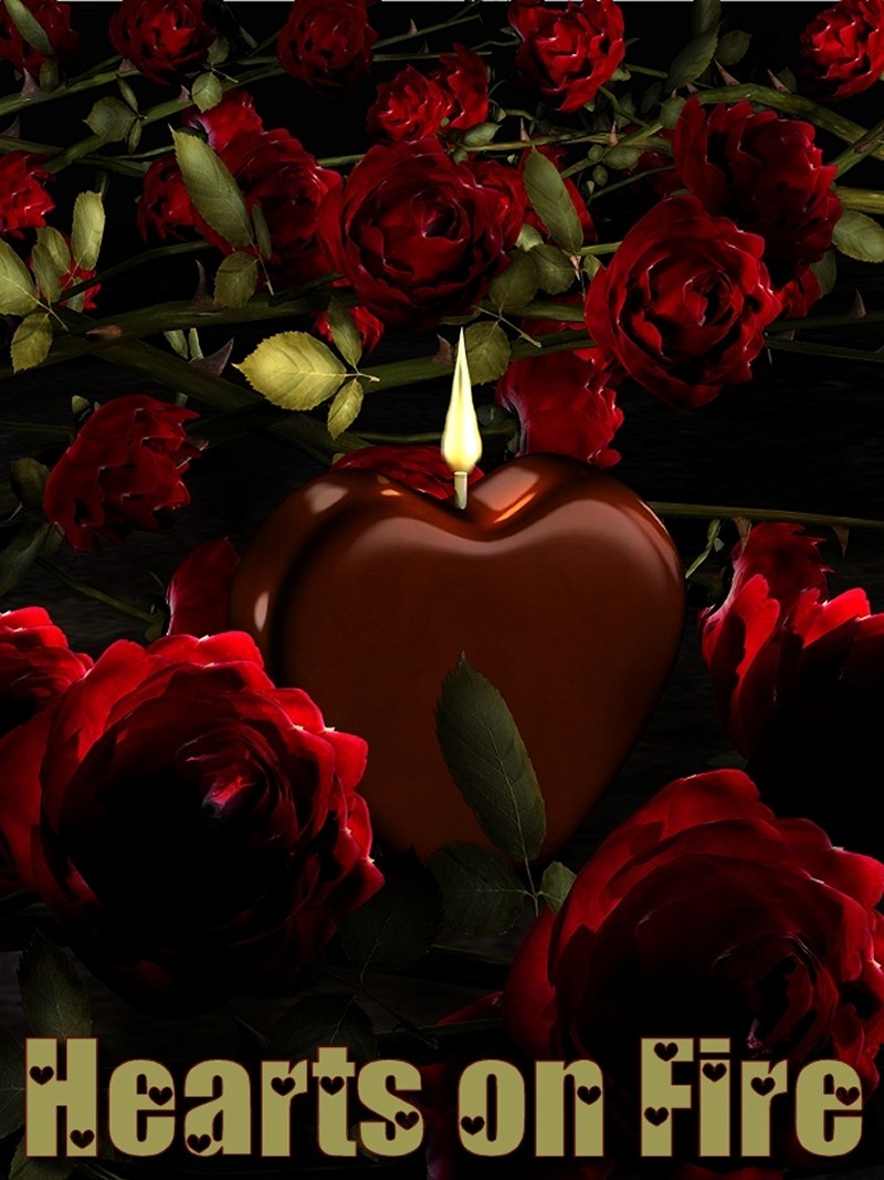 Hearts on Fire by N/A