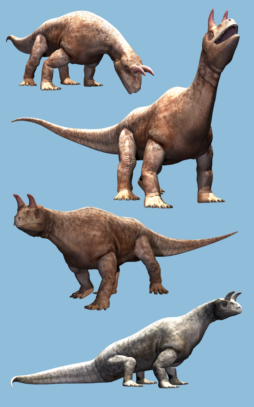 Shringasaurus DR by N/A