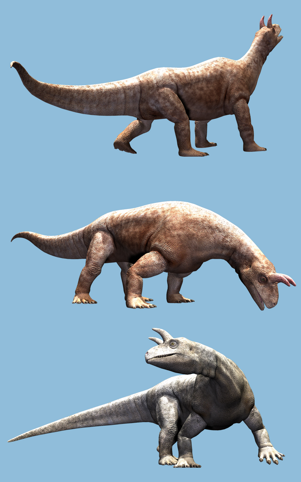 Shringasaurus DR by N/A