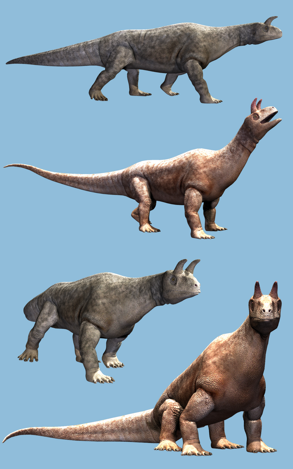 Shringasaurus DR by N/A