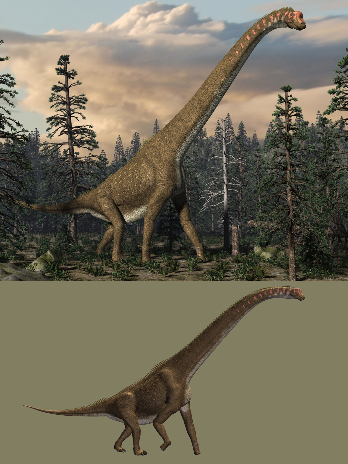 Giraffatitan DR by N/A
