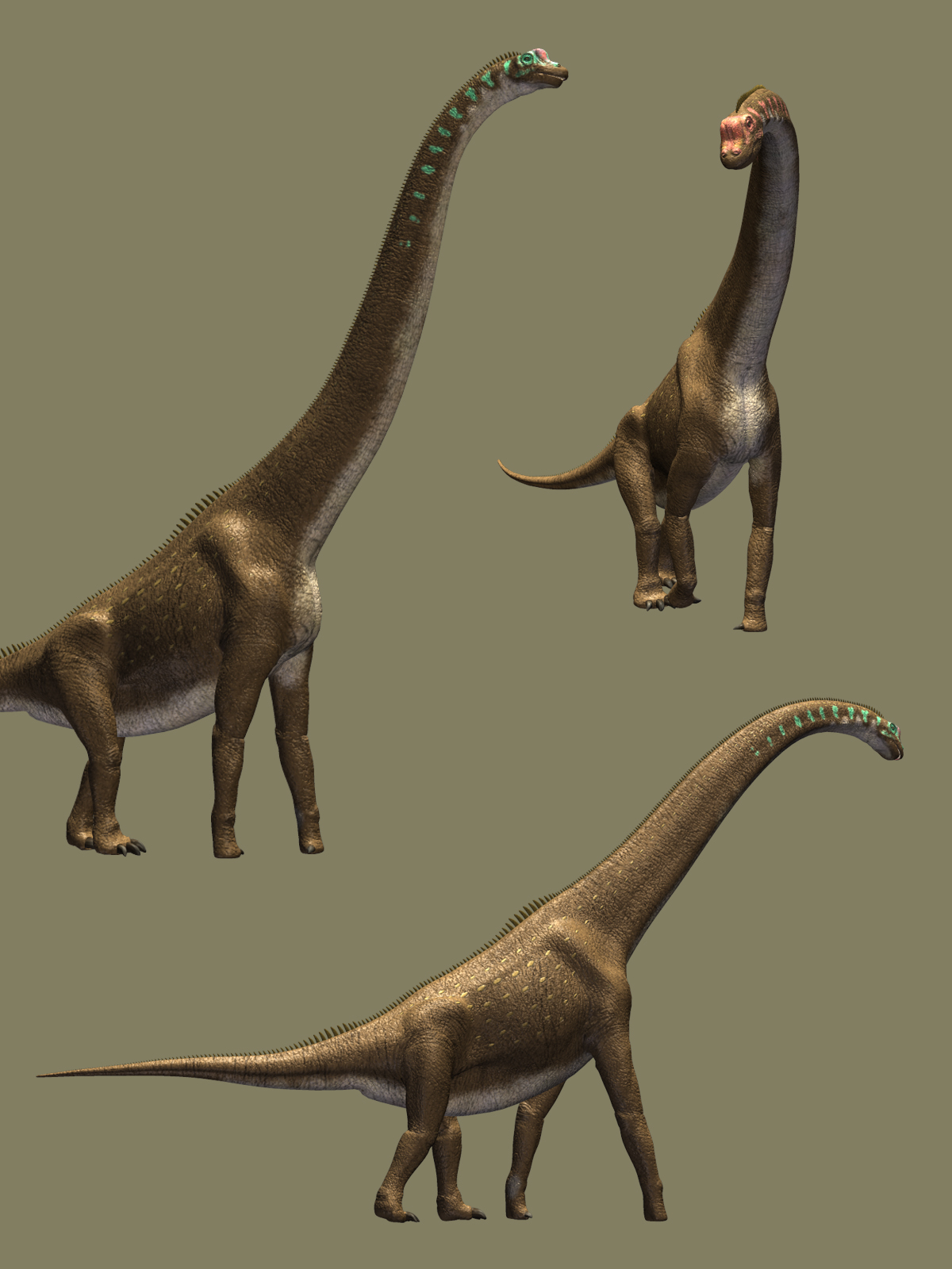 Giraffatitan DR by N/A