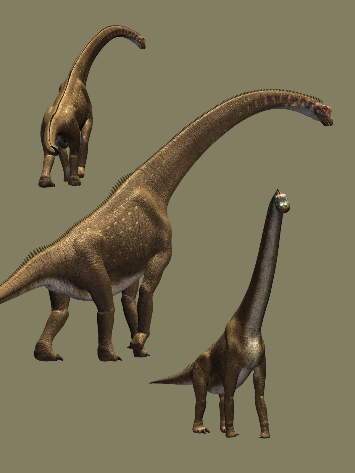 Giraffatitan DR by N/A