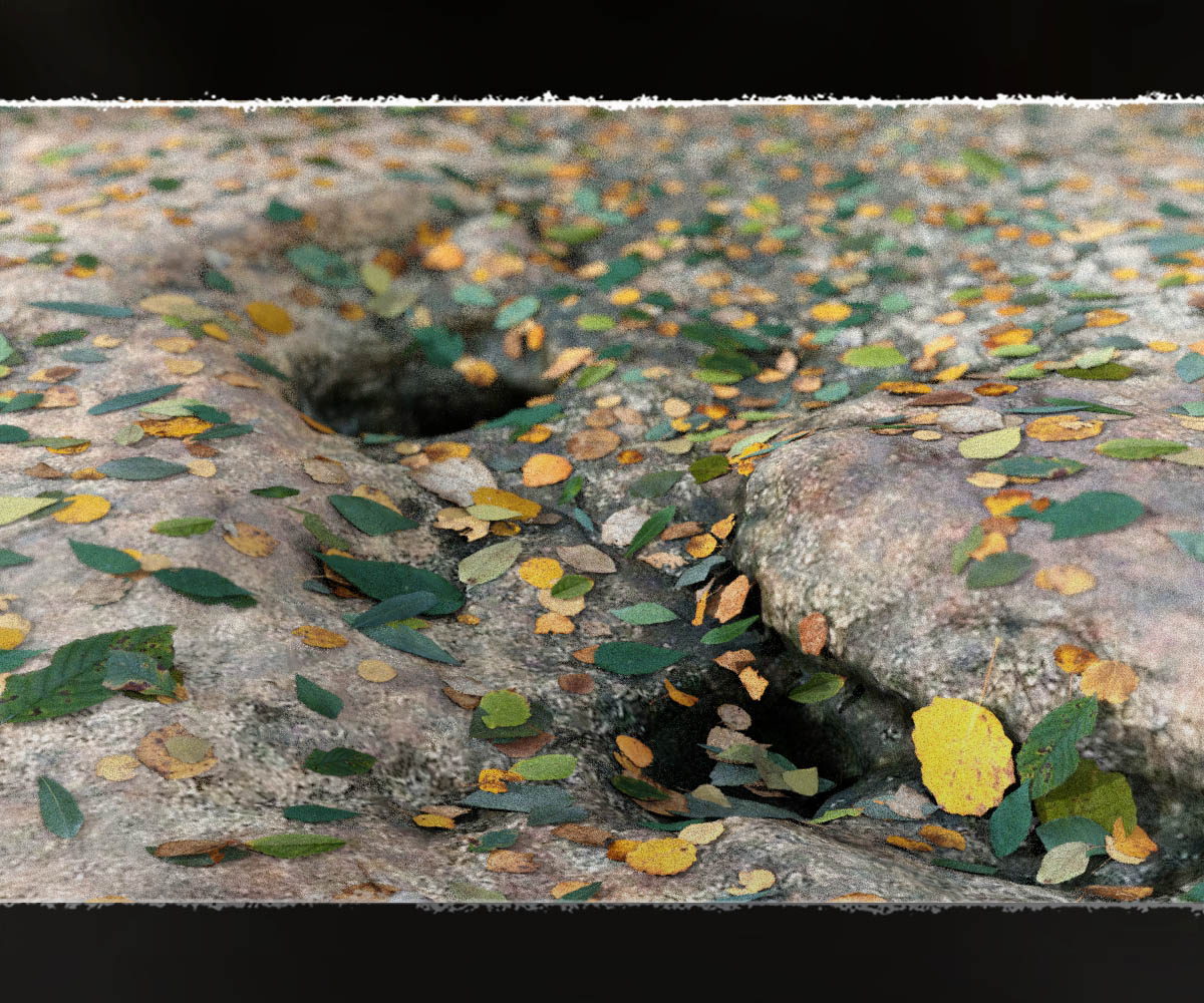 Photo Plants: Leafdropper for Daz Studio Dforce by N/A