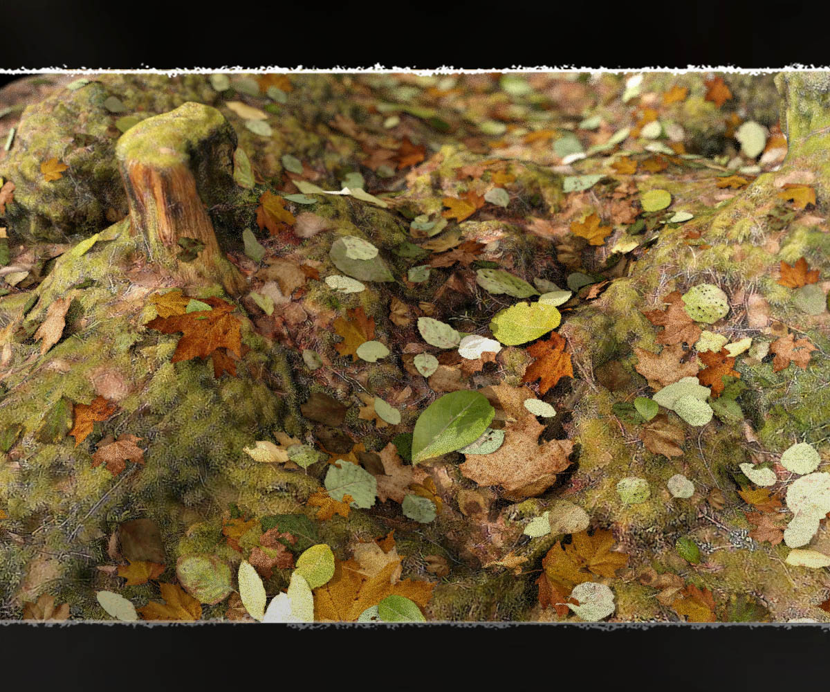 Photo Plants: Leafdropper for Daz Studio Dforce by N/A