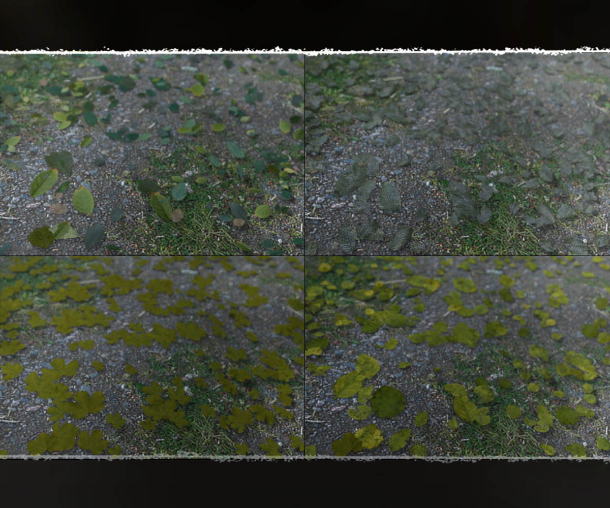 Photo Plants: Leafdropper for Daz Studio Dforce by N/A