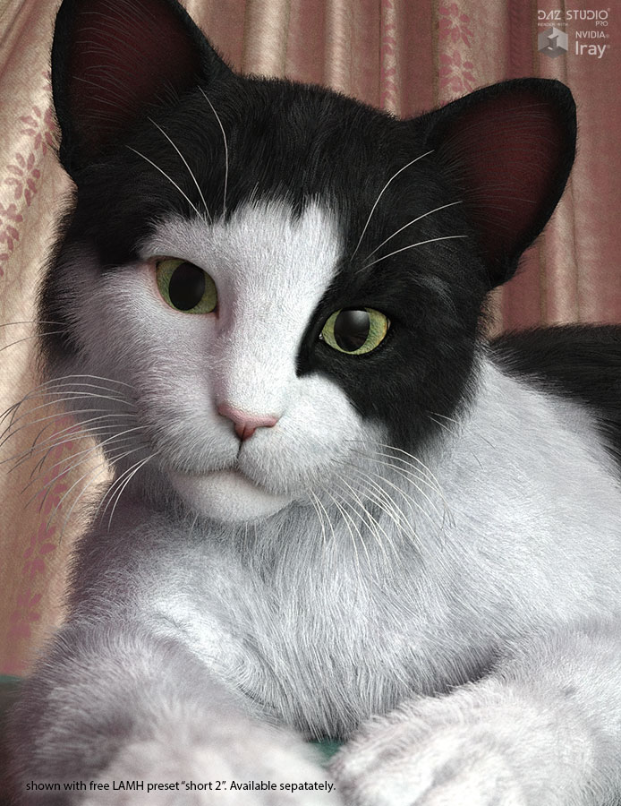 CWRW Black, White and Tuxedos for the HW House Cat by N/A