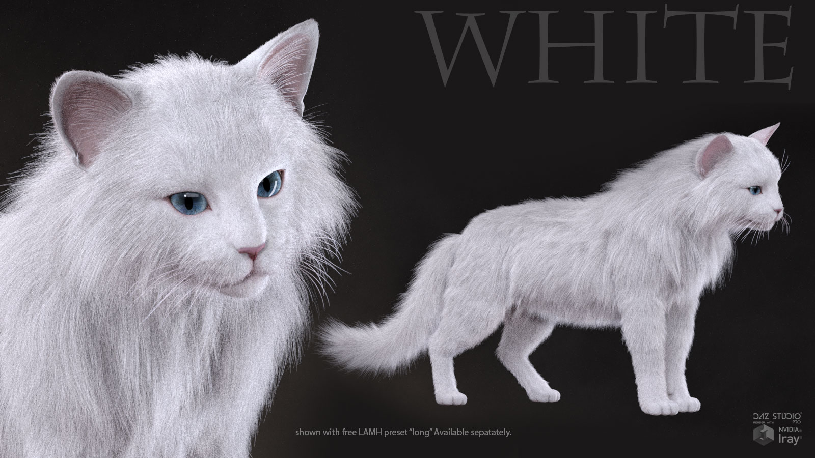 CWRW Black, White and Tuxedos for the HW House Cat by N/A