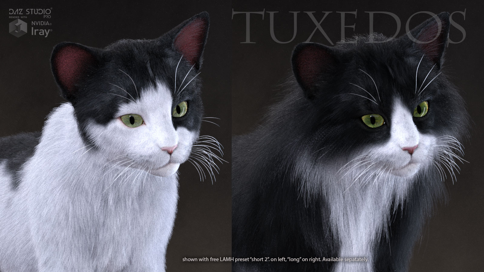 CWRW Black, White and Tuxedos for the HW House Cat by N/A