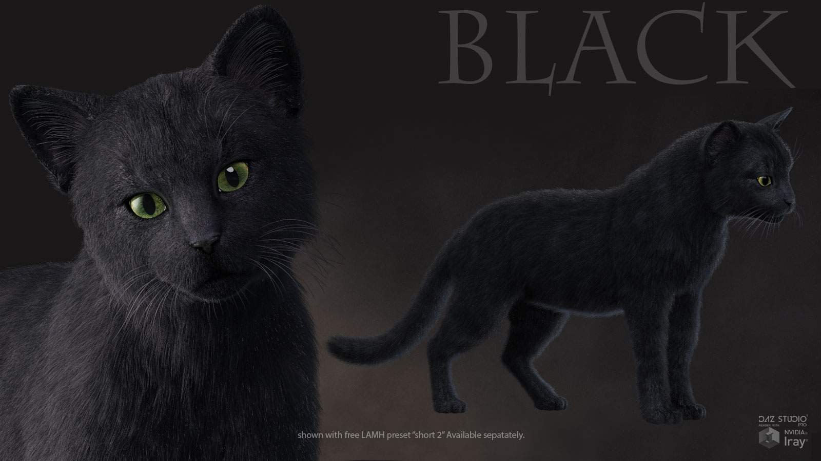 CWRW Black, White and Tuxedos for the HW House Cat by N/A