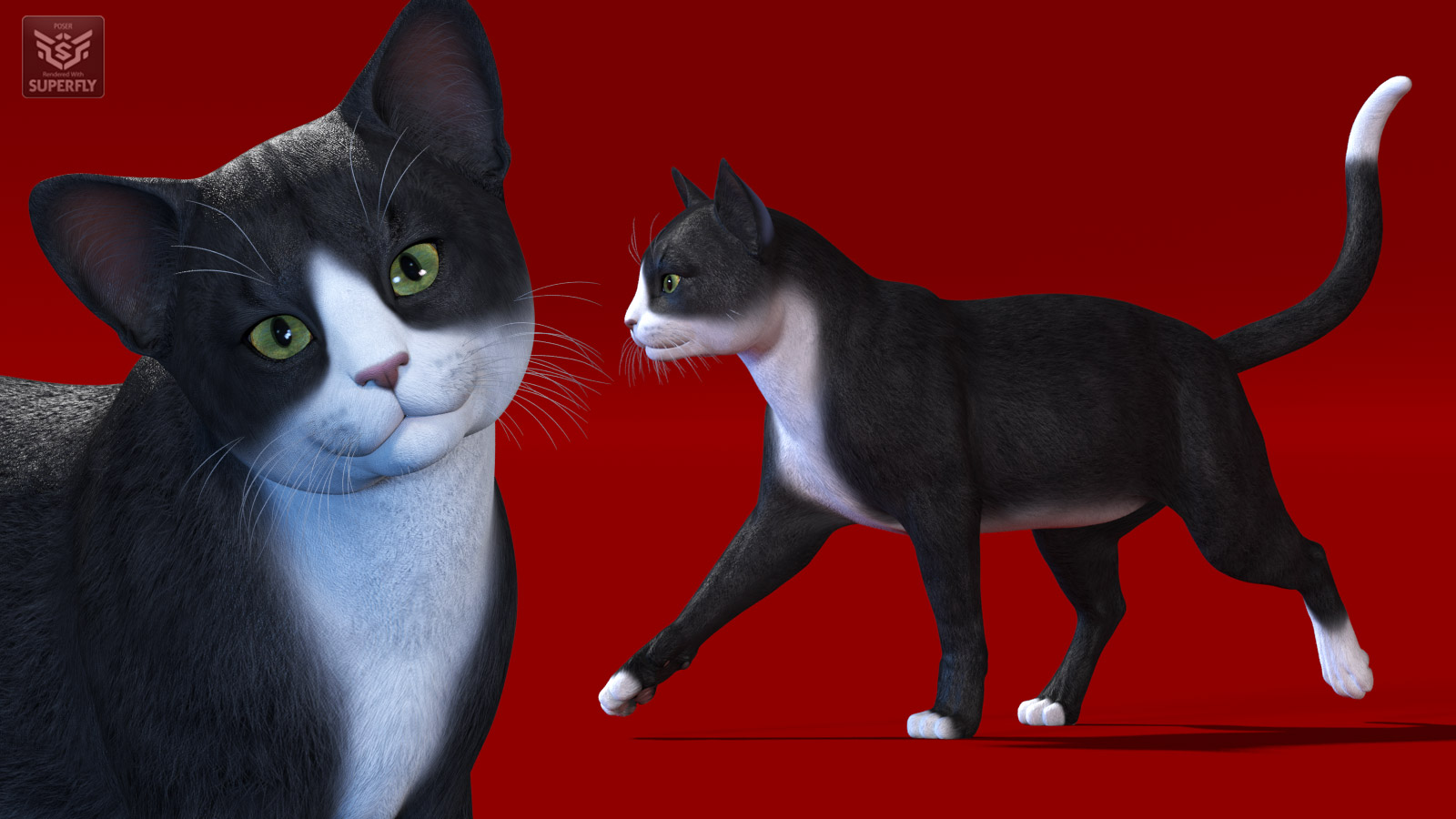 CWRW Black, White and Tuxedos for the HW House Cat by N/A