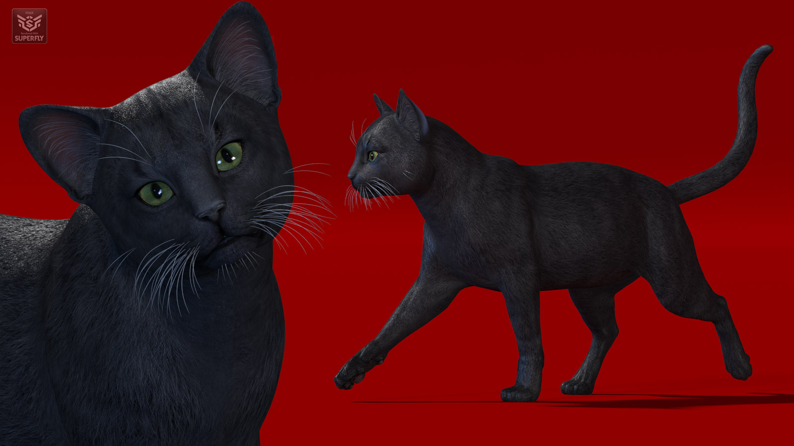 CWRW Black, White and Tuxedos for the HW House Cat by N/A