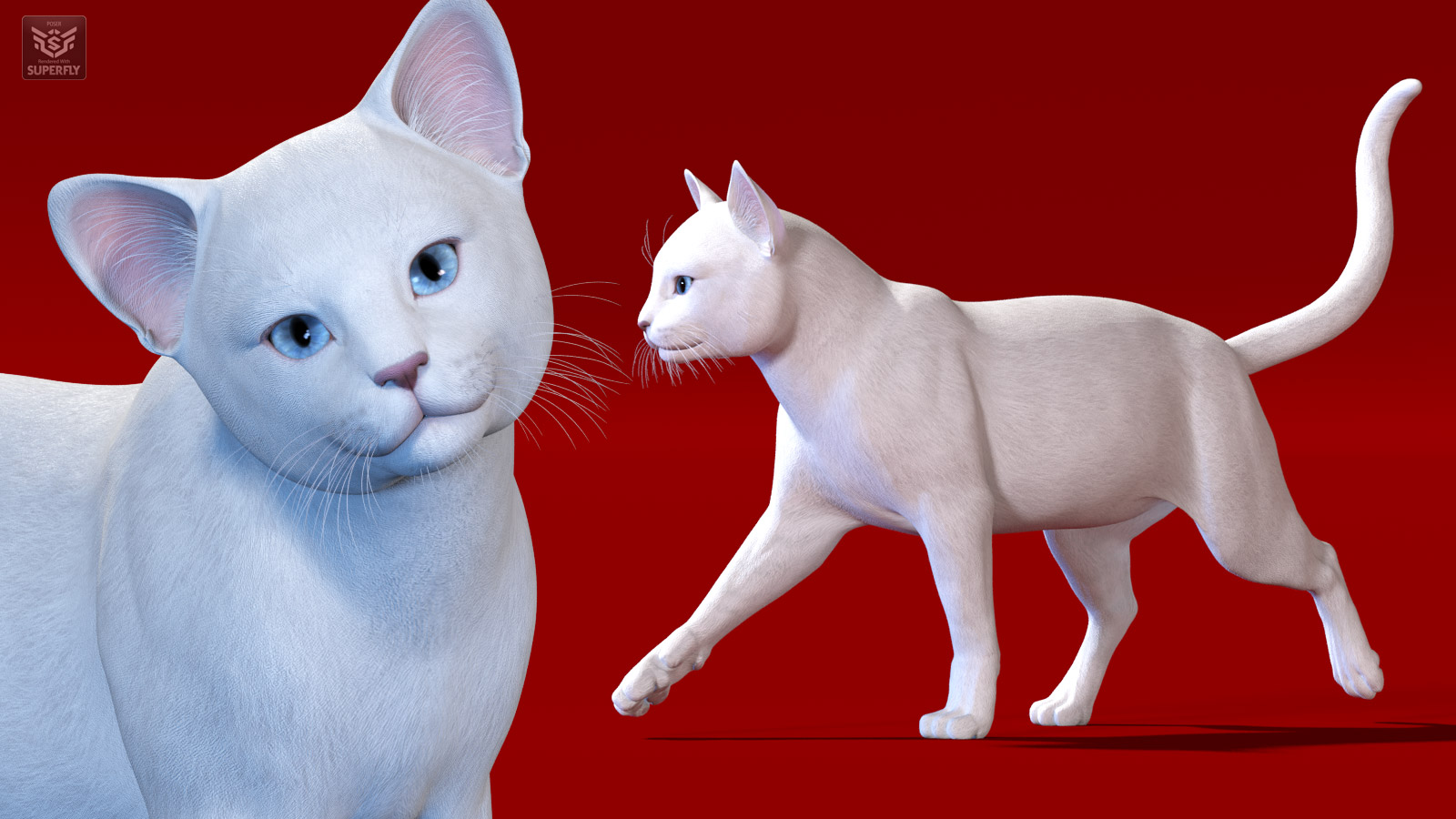 CWRW Black, White and Tuxedos for the HW House Cat by N/A
