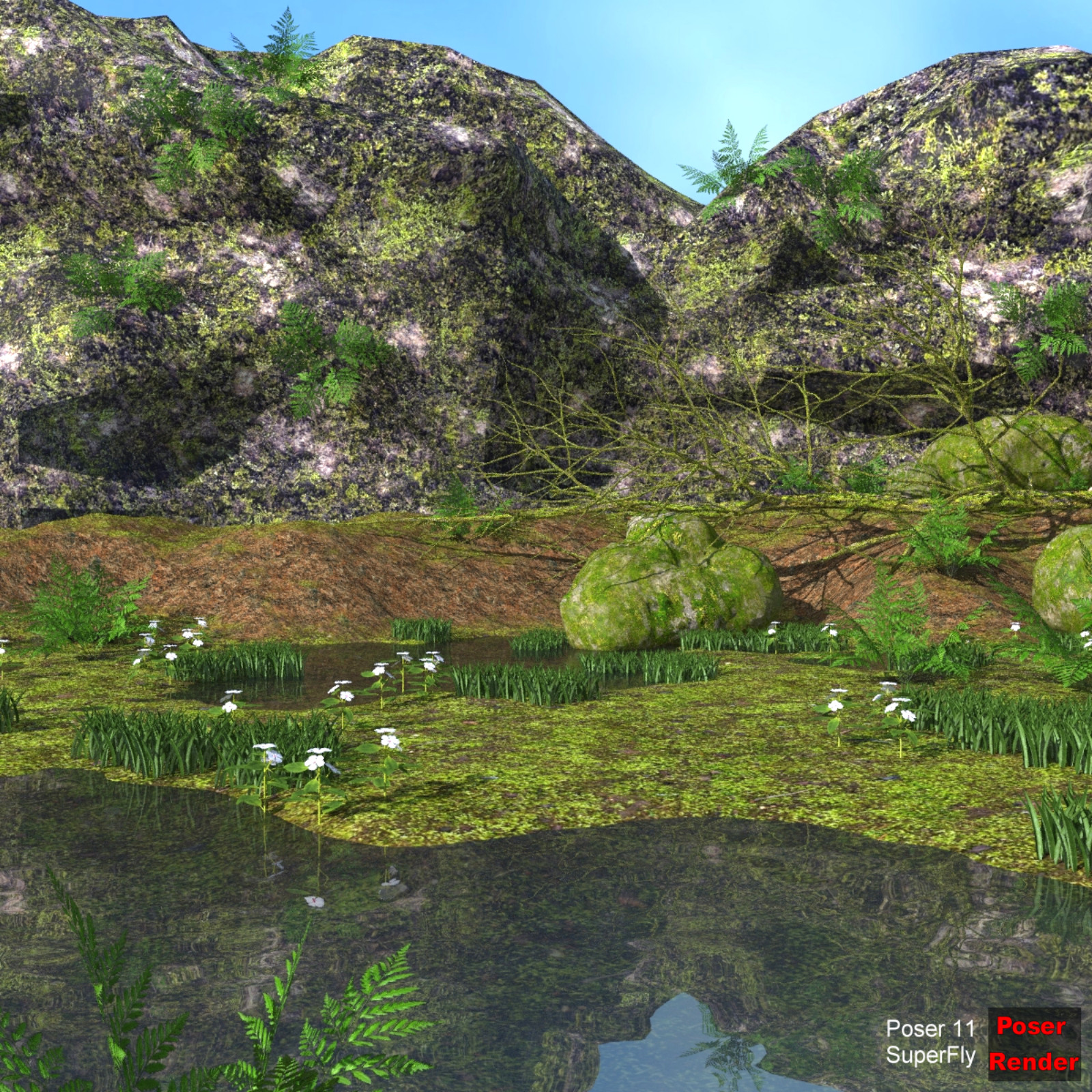 Damp terrain Poser by N/A