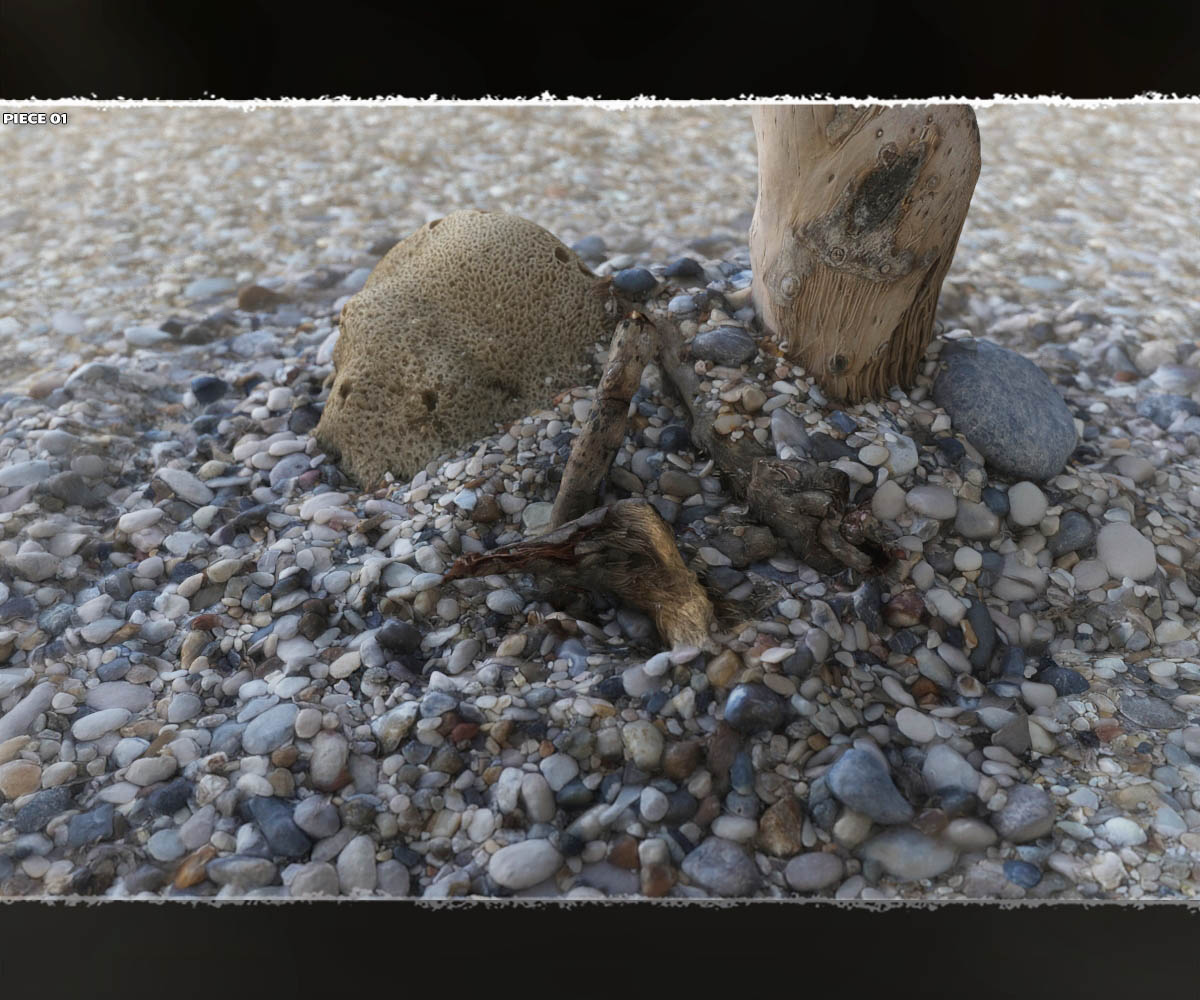 Macro Worlds: Beachworld by N/A