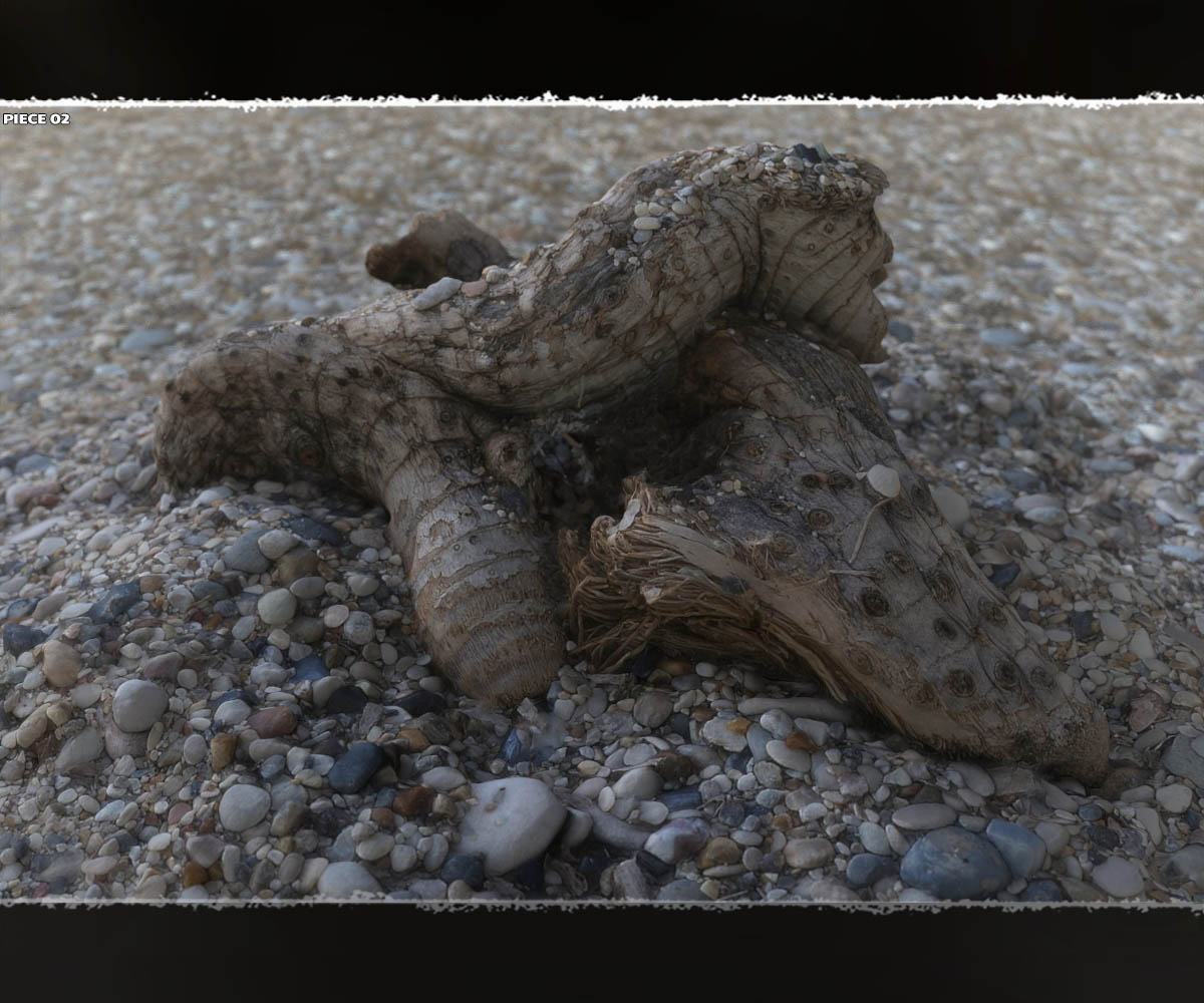 Macro Worlds: Beachworld by N/A