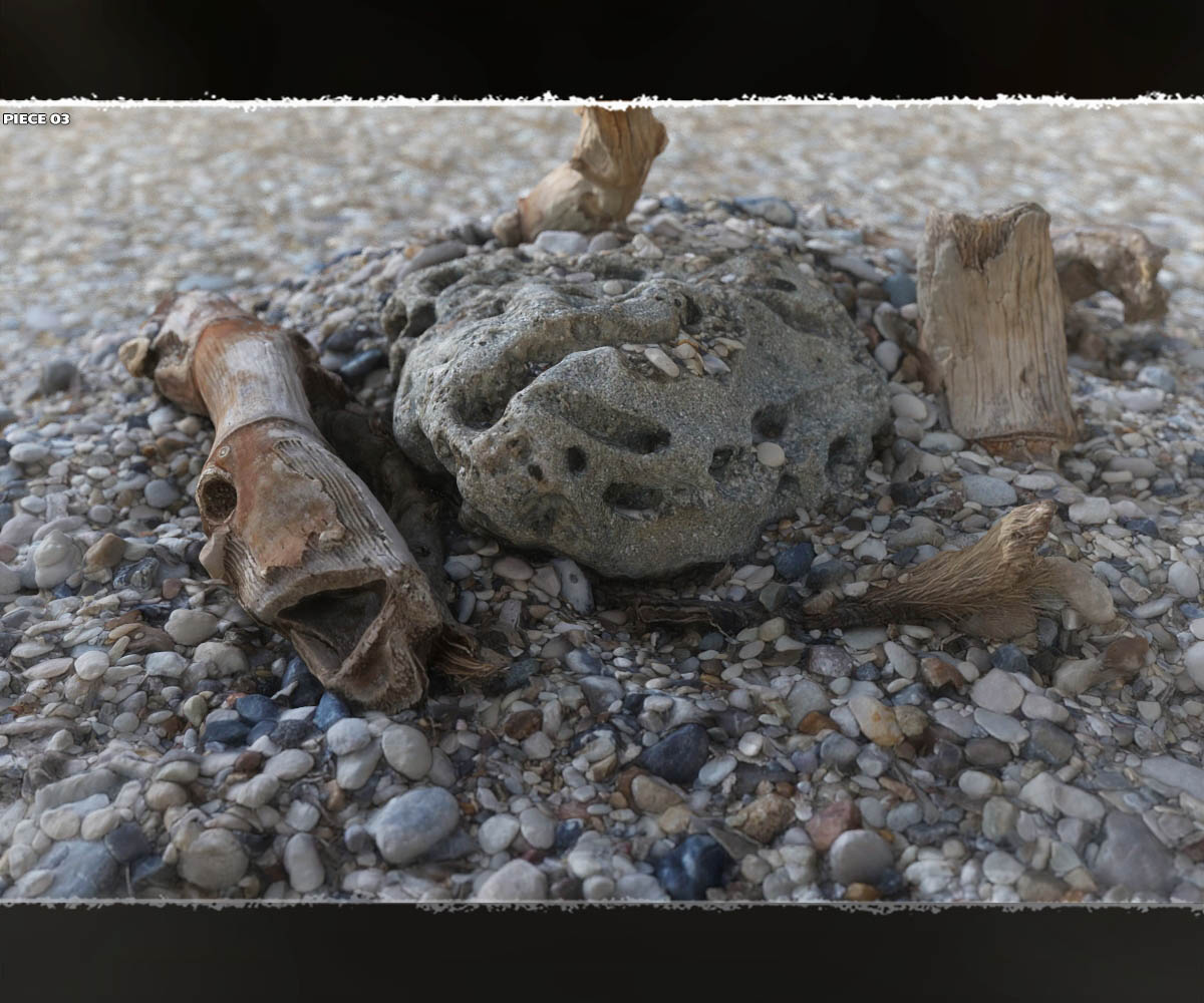 Macro Worlds: Beachworld by N/A