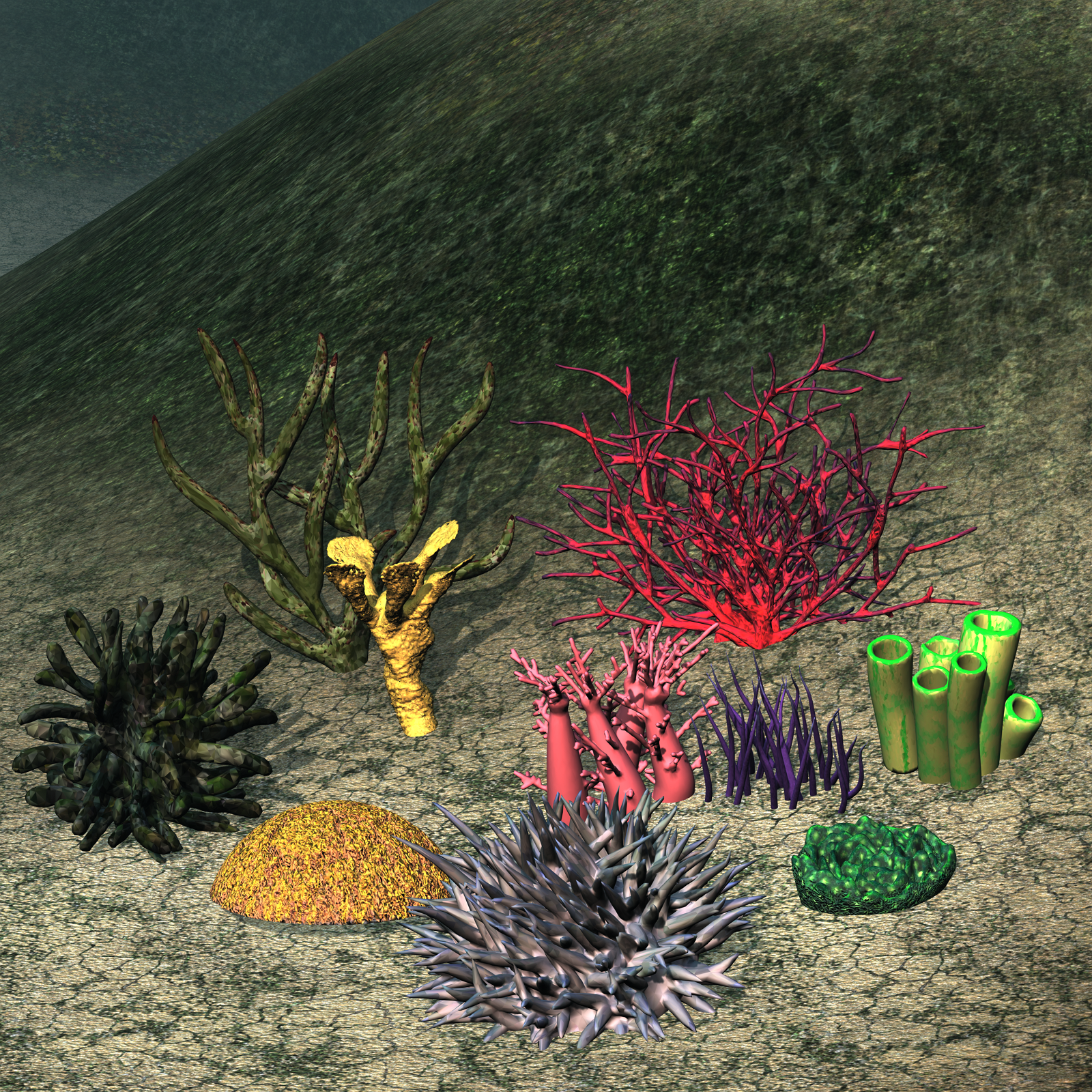 Coral and Underwater Plants - Extended LIcense by N/A