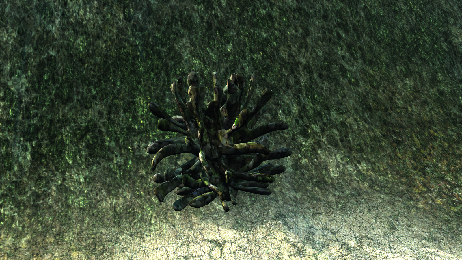 Coral and Underwater Plants - Extended LIcense by N/A