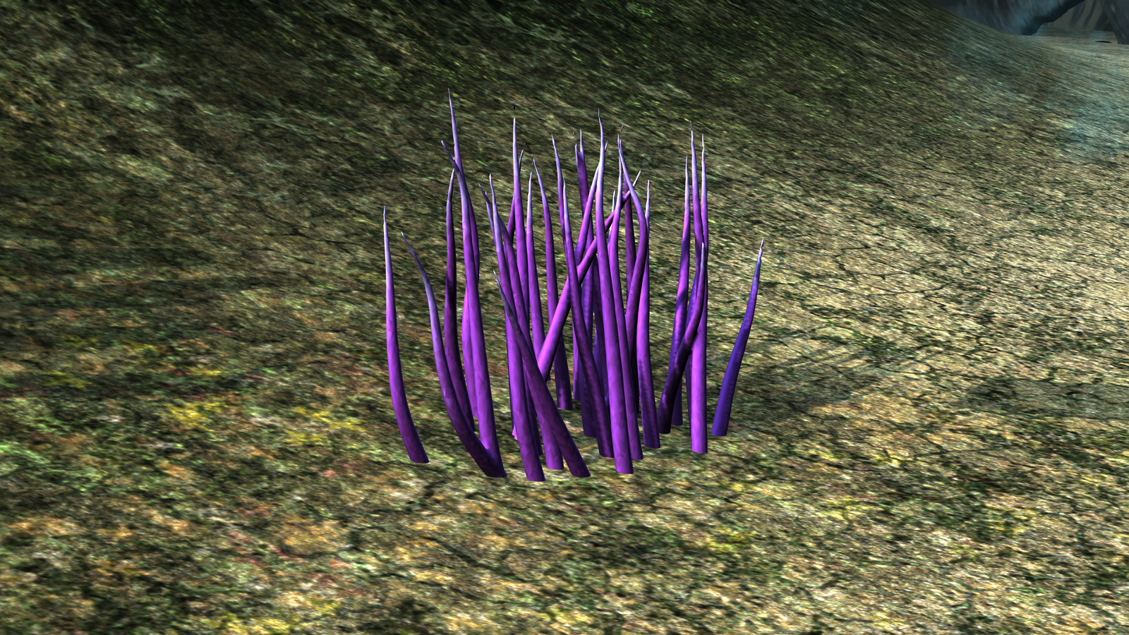 Coral and Underwater Plants - Extended LIcense by N/A
