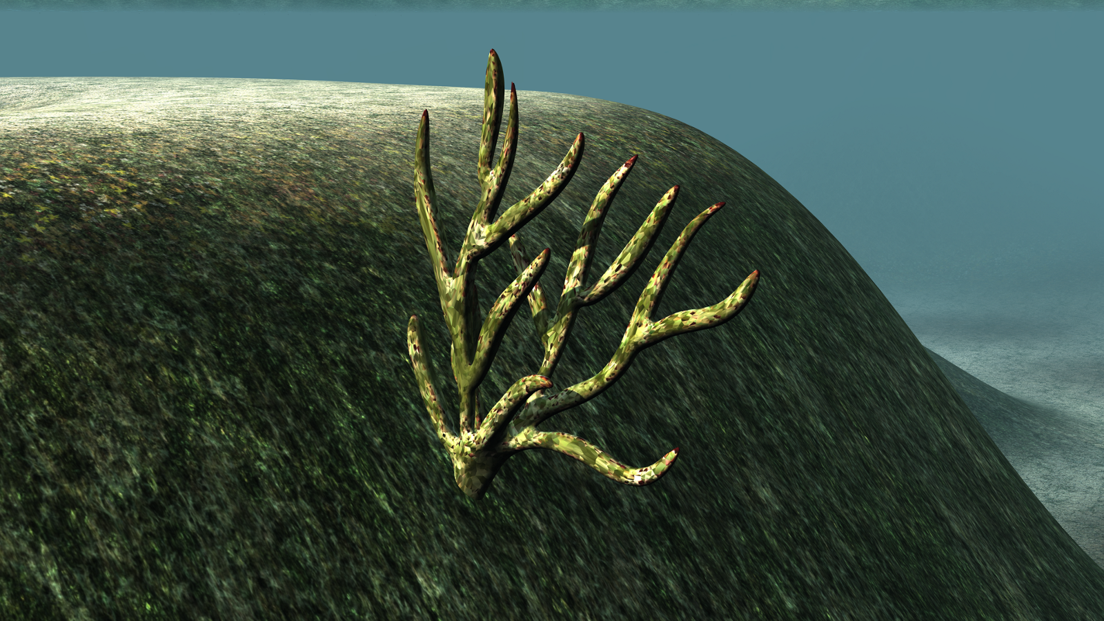 Coral and Underwater Plants - Extended LIcense by N/A