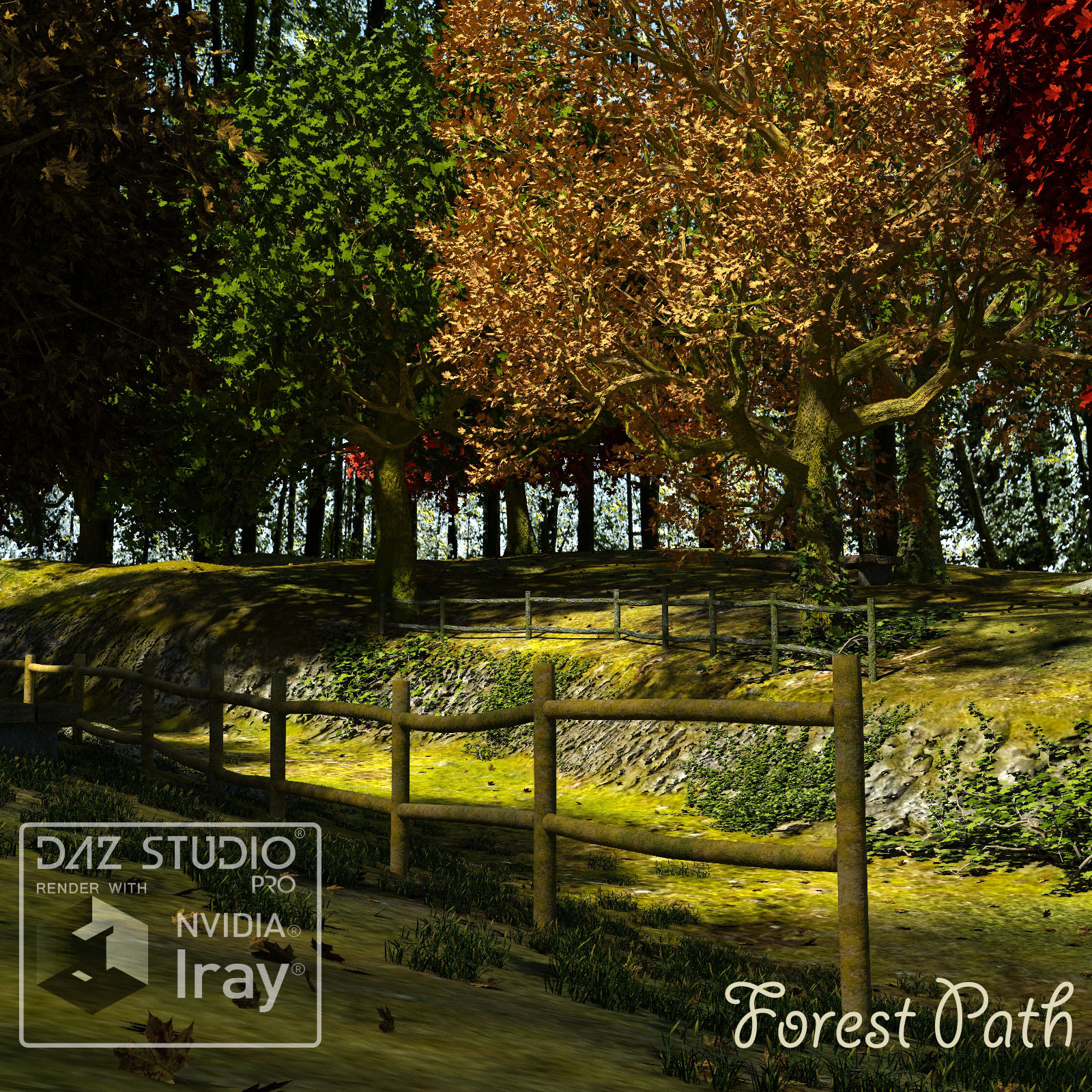Forest Path by N/A