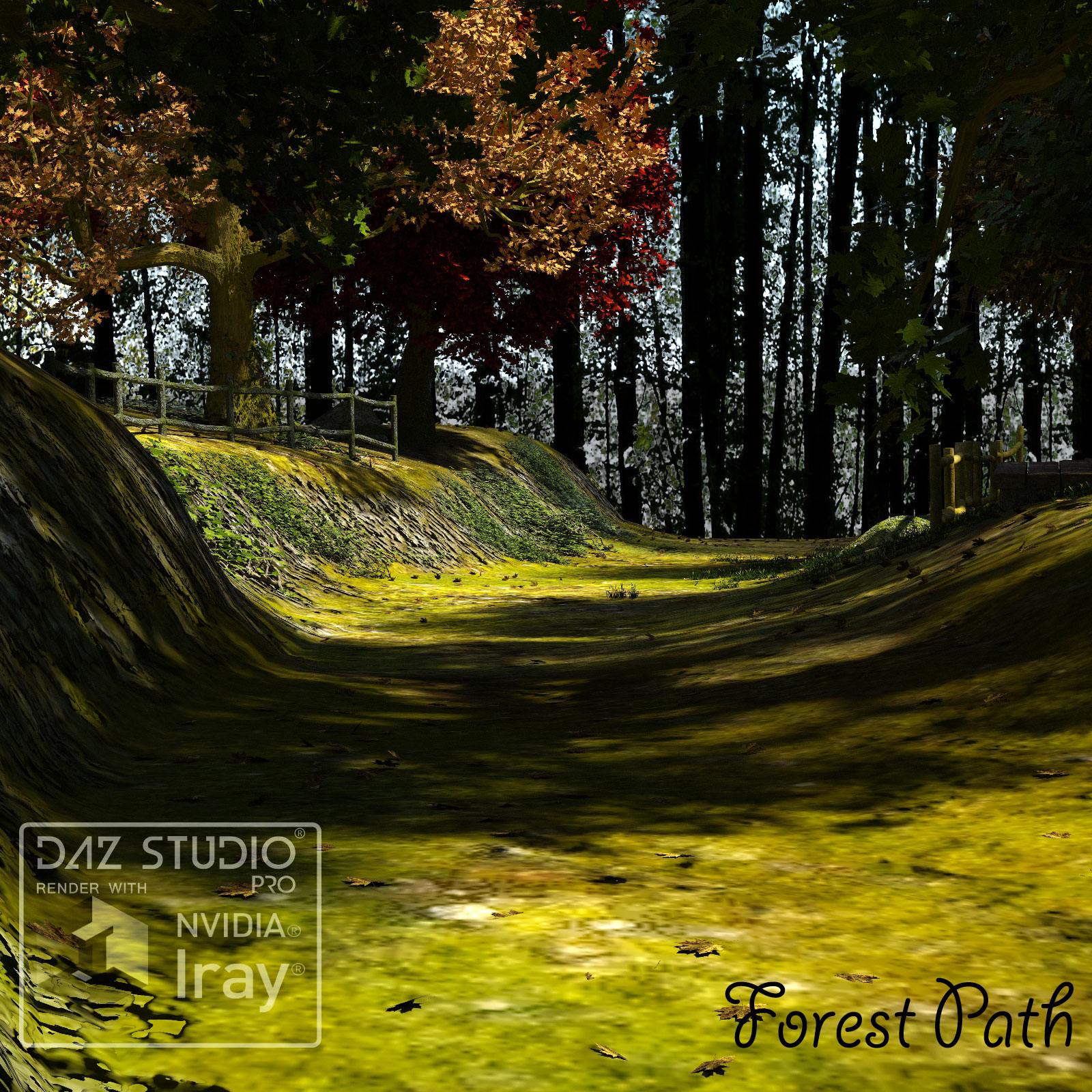 Forest Path by N/A