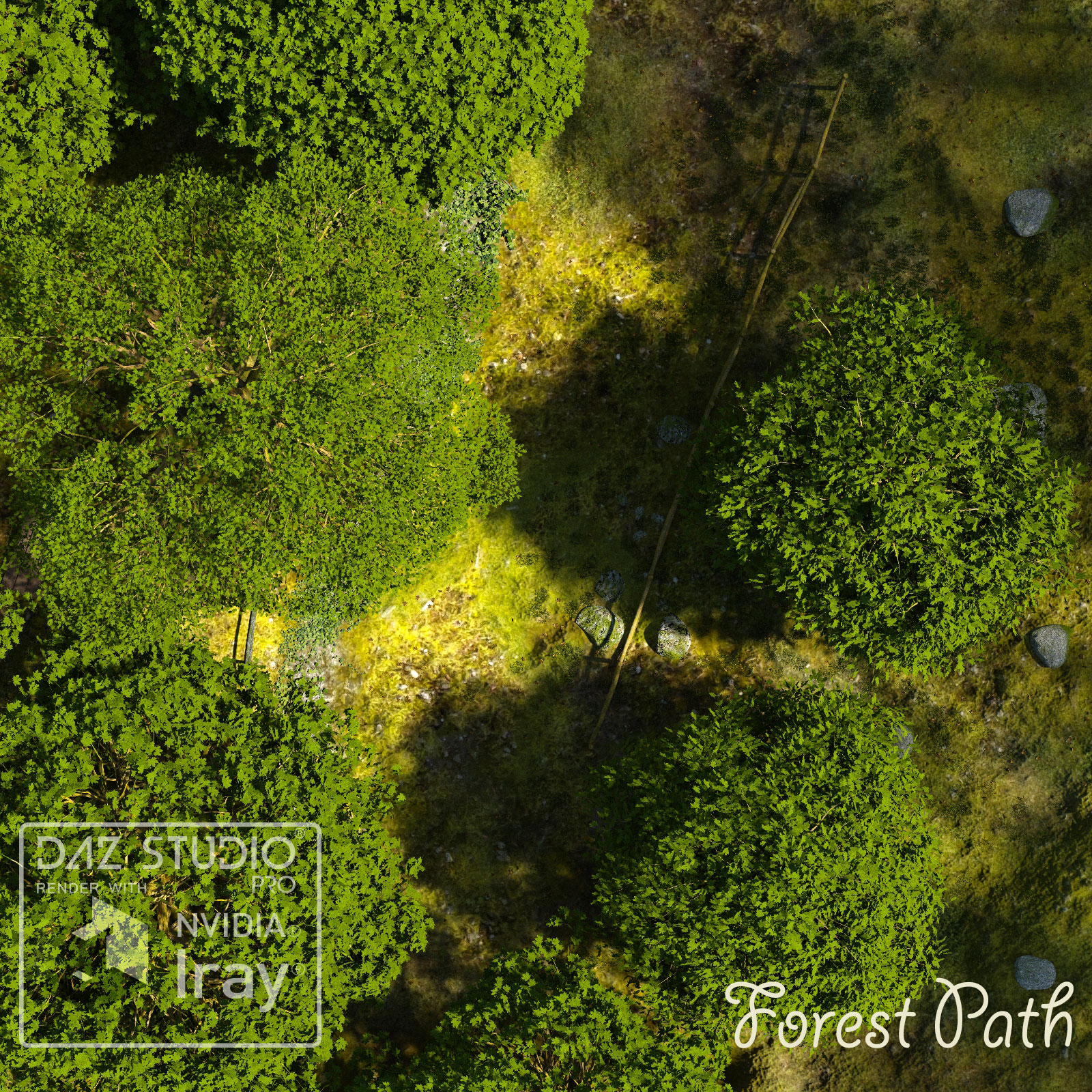 Forest Path by N/A