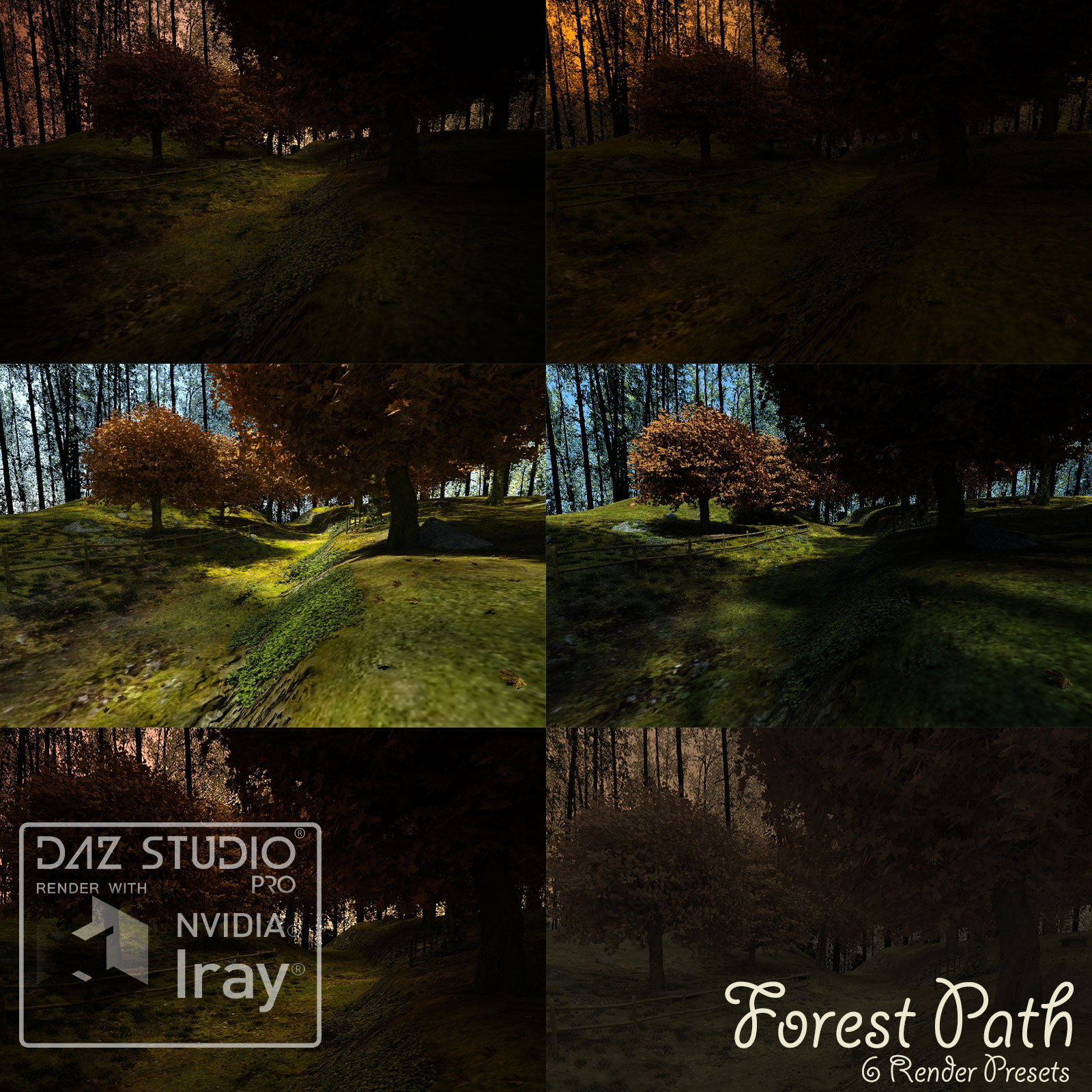 Forest Path by N/A