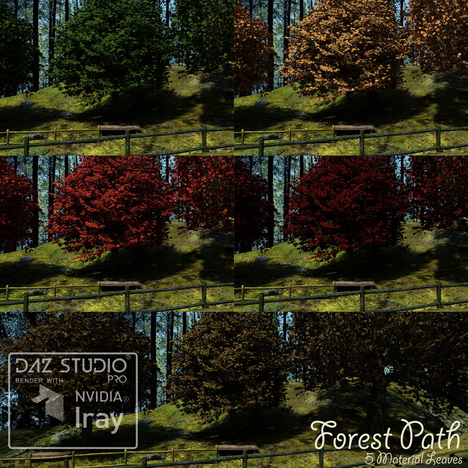 Forest Path by N/A