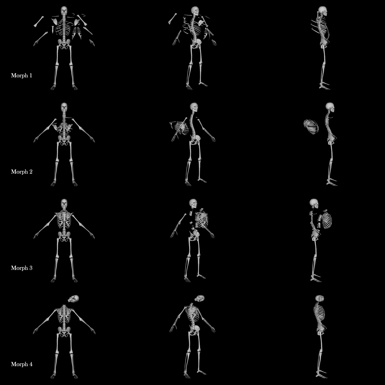 Skeleton G8M Destroyed Morphs by N/A