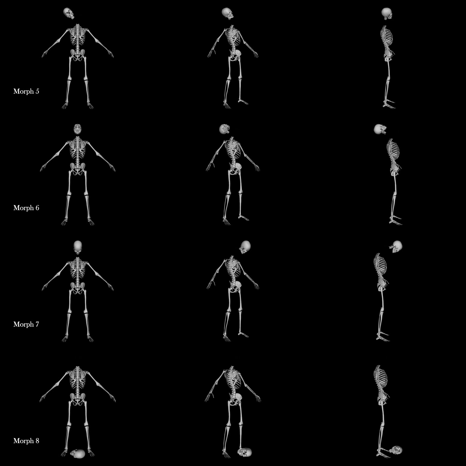 Skeleton G8M Destroyed Morphs by N/A