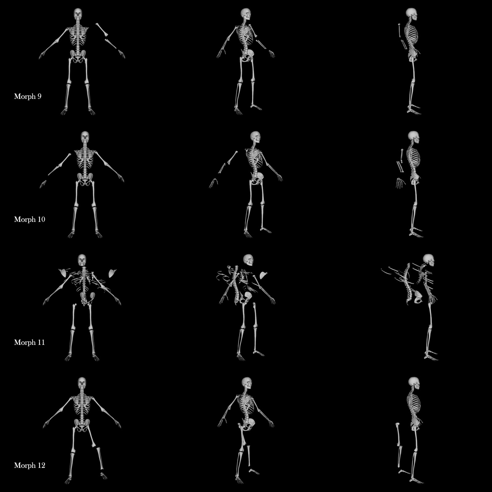 Skeleton G8M Destroyed Morphs by N/A