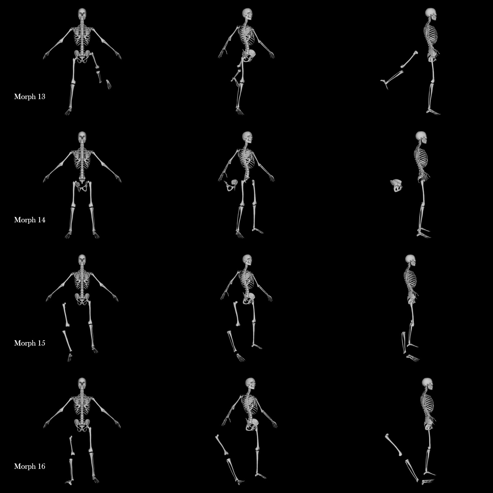 Skeleton G8M Destroyed Morphs by N/A