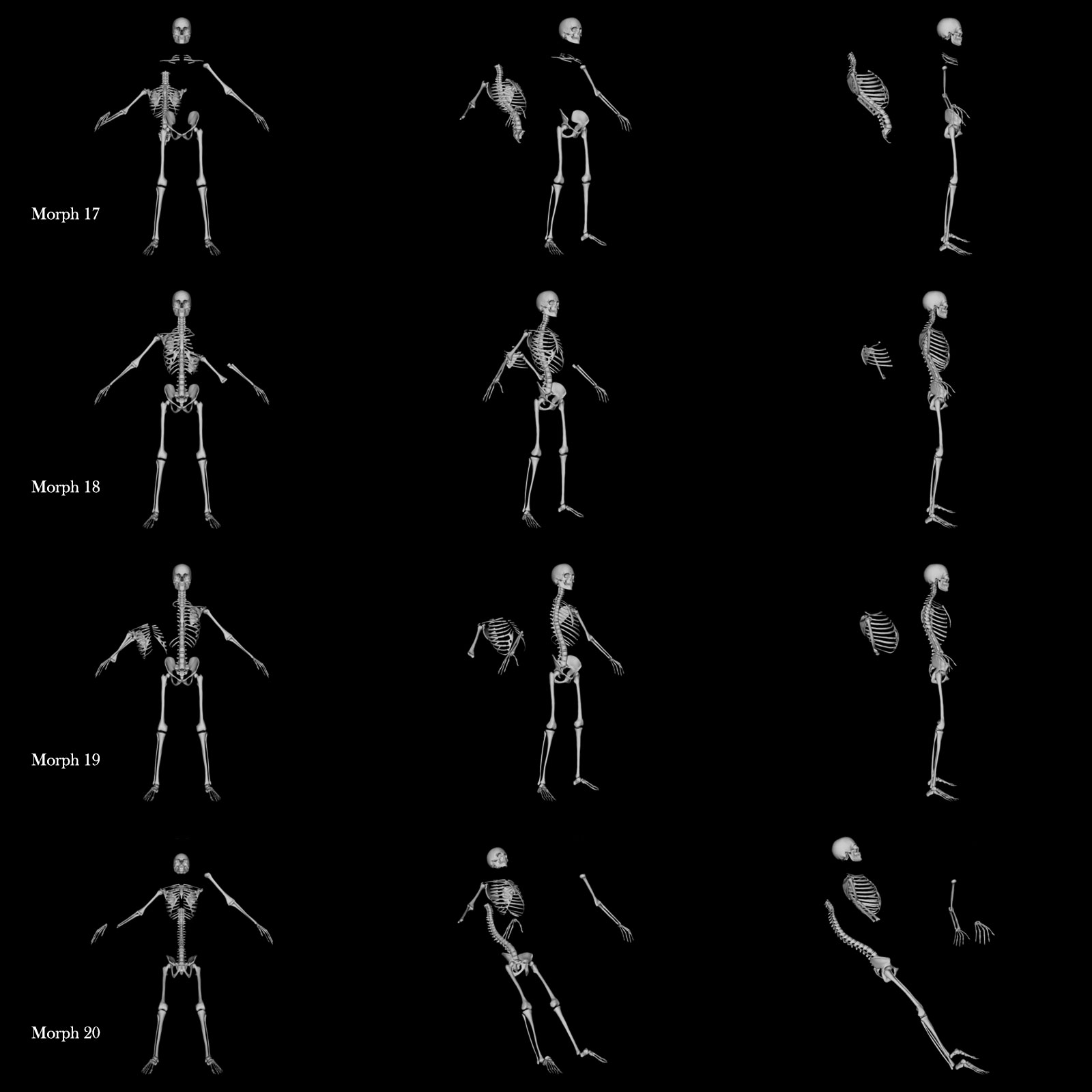 Skeleton G8M Destroyed Morphs by N/A