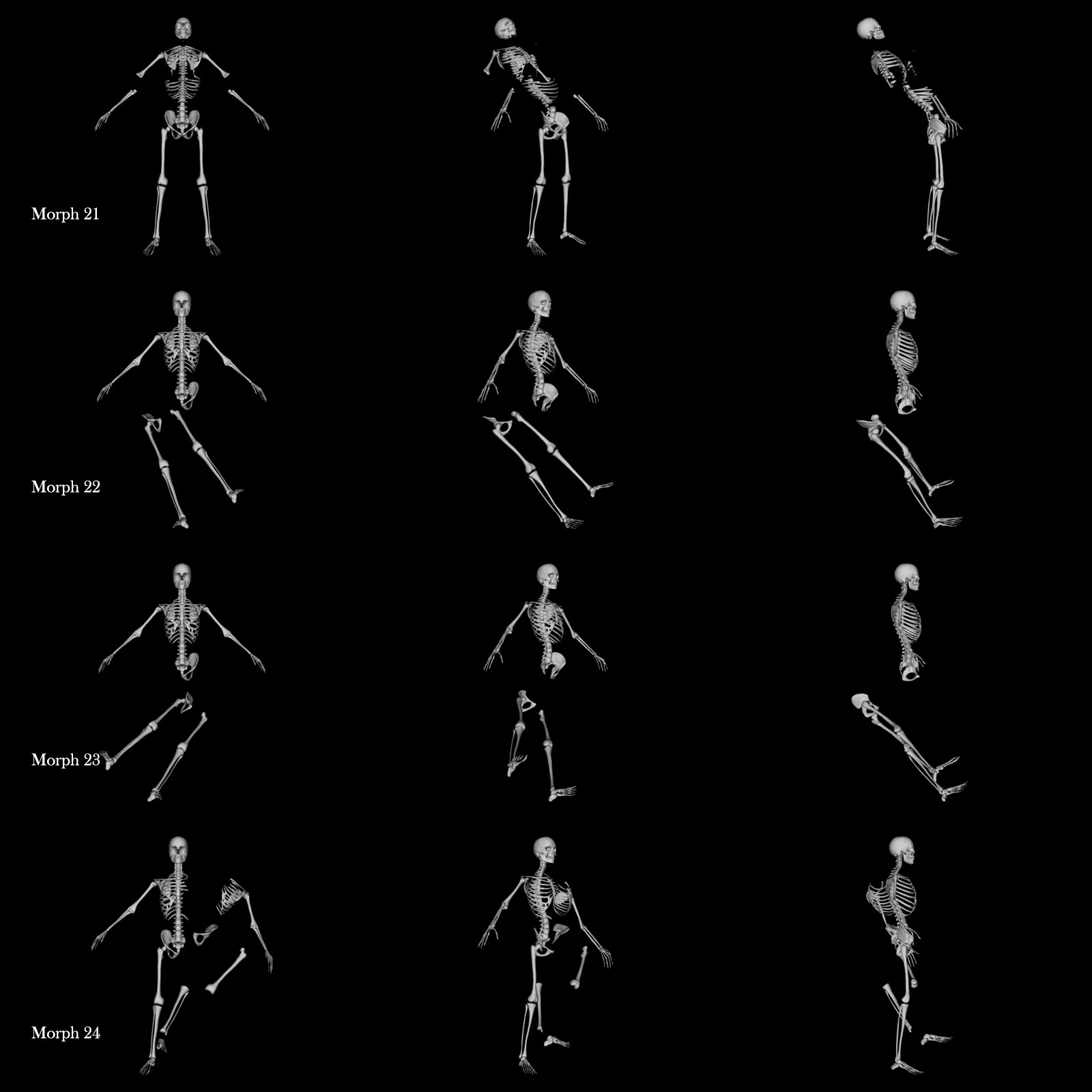 Skeleton G8M Destroyed Morphs by N/A