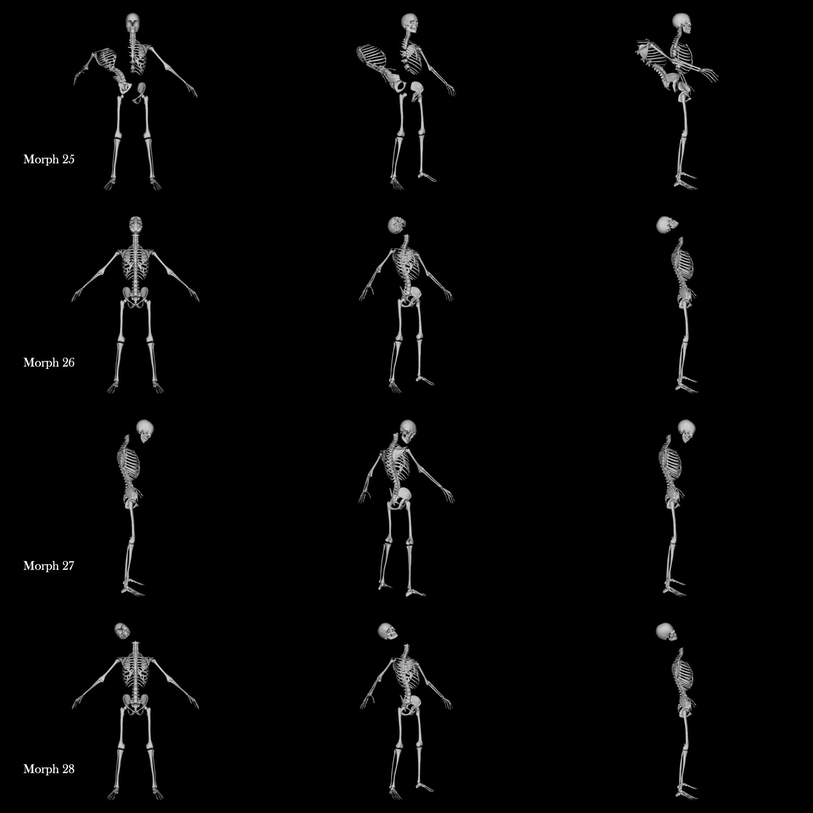 Skeleton G8M Destroyed Morphs by N/A